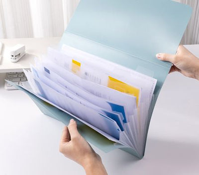 MAPA MATERIAL ECO DIN FIBRE DE GRAU CU 7 SEPARATOARE SI BUTON CULORI ASORTATE DELI