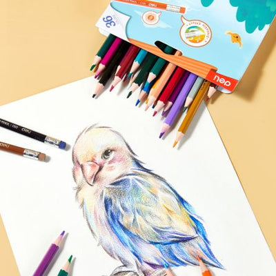 CREIOANE COLORATE PLASTIC 36 CULORI CU GUMA DELI