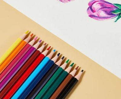 CREIOANE COLORATE PLASTIC 24 CULORI CU GUMA DELI