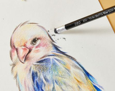 CREIOANE COLORATE PLASTIC 12 CULORI CU GUMA DELI