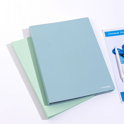 MAPA PREZENTARE 40 FOLII MATERIAL ECO DIN FIBRE DE GRAU CULORI ASORTATE DELI