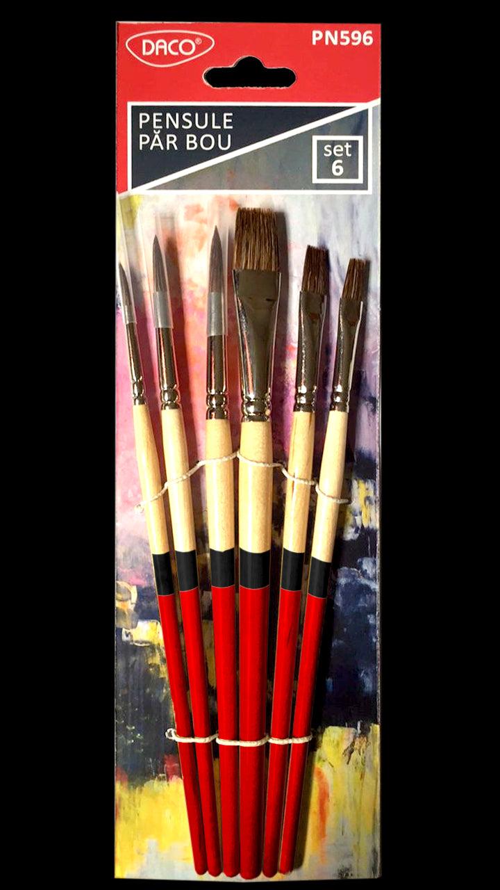 Pensule Set 6 Par Bou Daco Pn596