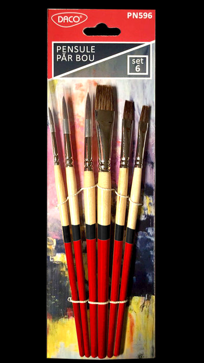 Pensule Set 6 Par Bou Daco Pn596