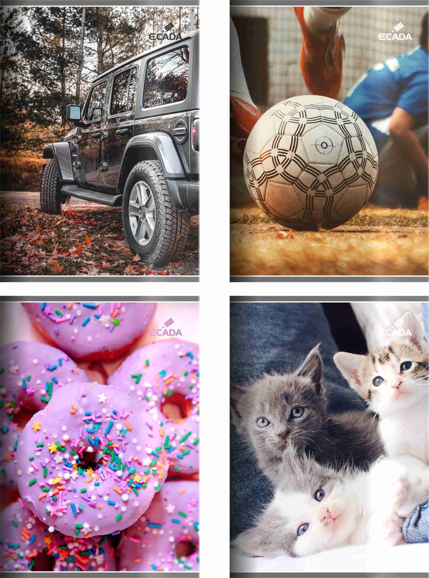 Caiet A5 Ecada Geometrie 29524