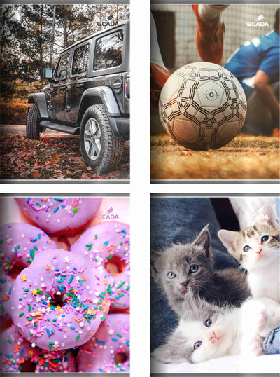 Caiet A5 Ecada Geometrie 29524