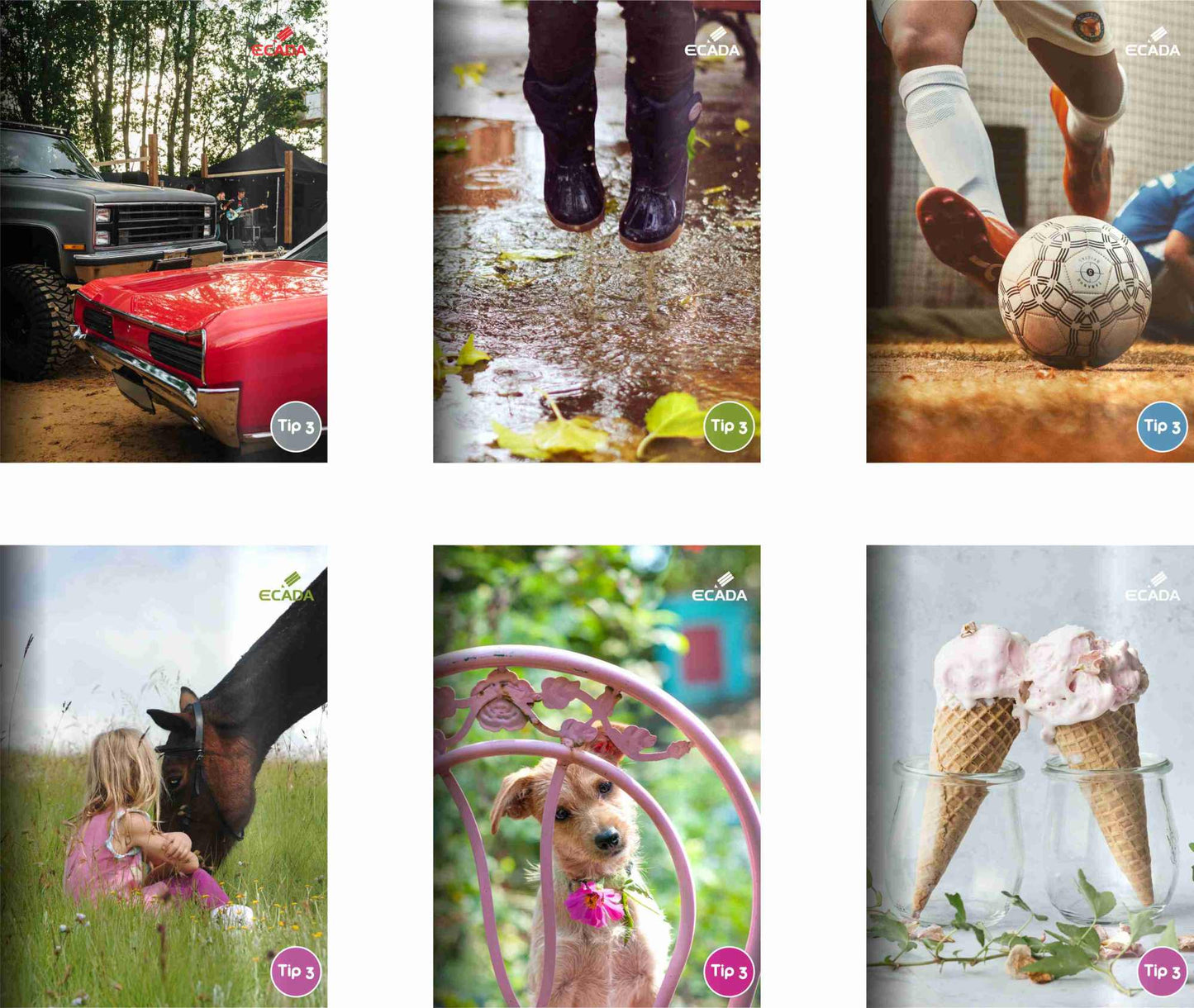 Caiet A5 Tip 3 Ecada 29523