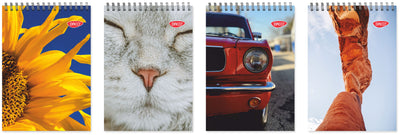 Bloc Notes A6 Spira L Scurta 80 File Daco Bn680Dr