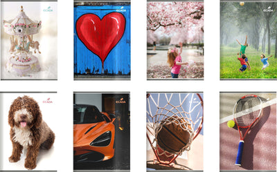 Caiet A5 48 File Policrom Ecada 29548Ar