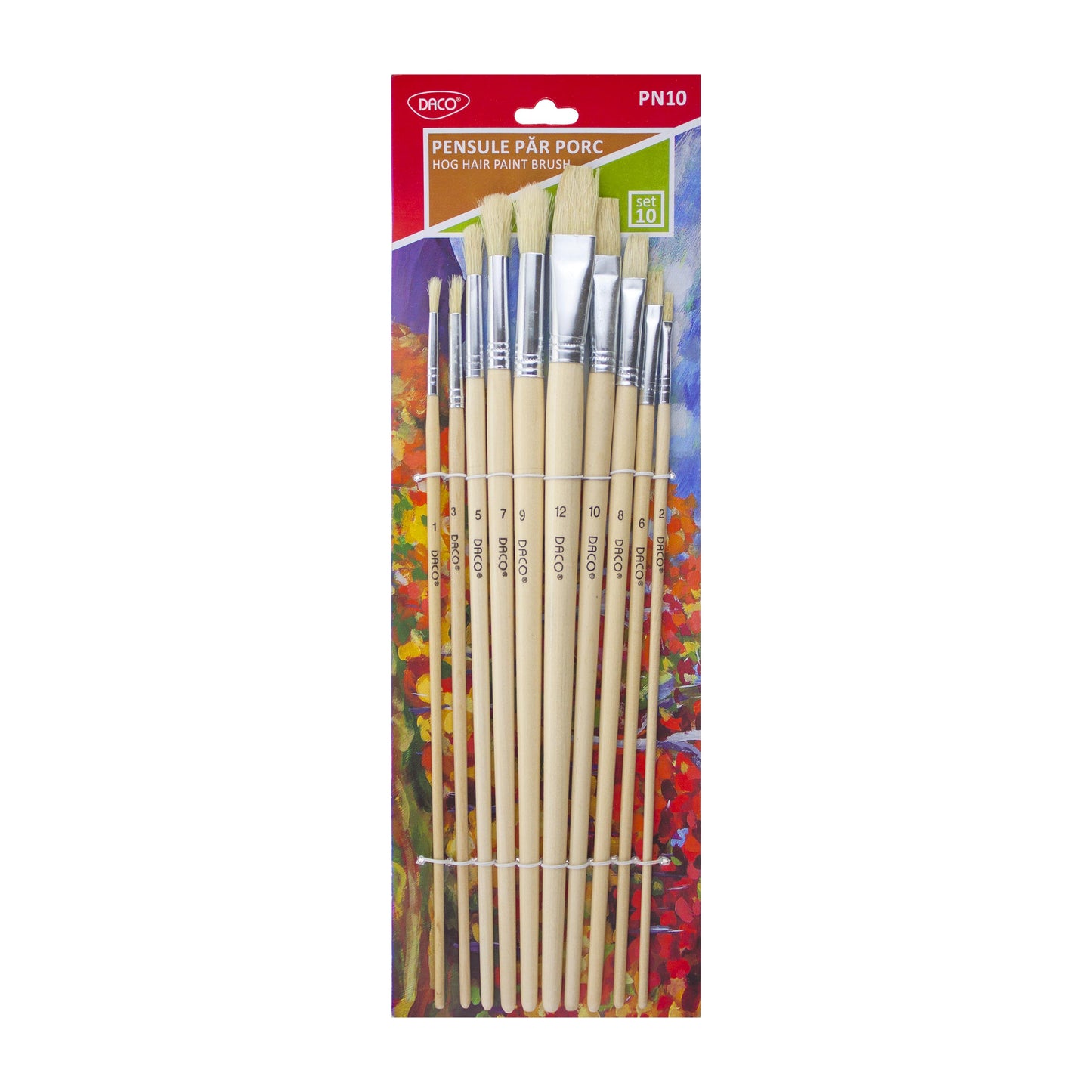 Pensula Set 10 Par Porc Daco Pn10