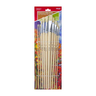 Pensula Set 10 Par Porc Daco Pn10