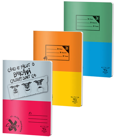Caiet A5 48 File Aritmetica Basic Pigna