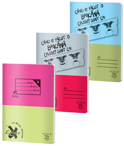 Caiet A5 80 File Dictando Basic Pigna