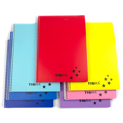 Caiet A4 Cu Spira Si Coperti Din Plastic, 120 File Dictando Evoffice