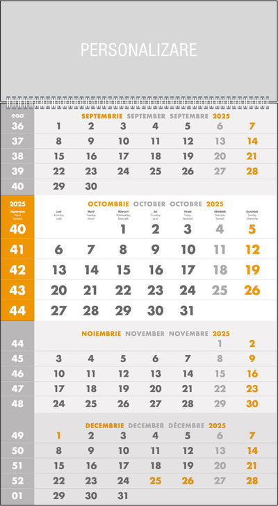 Calendar Perete Triptic Gri 12 File Ego