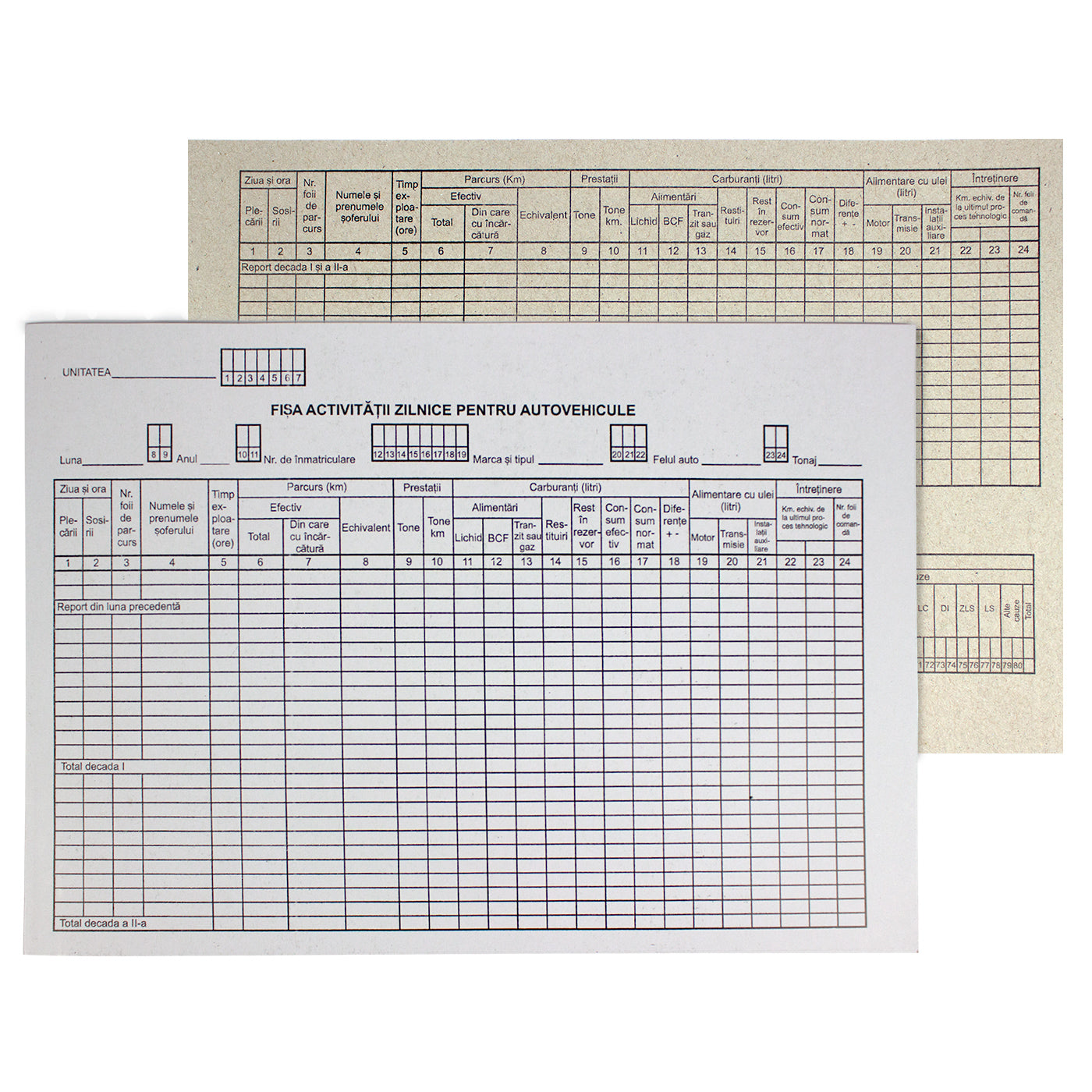 Fisa Activitati Zilnice