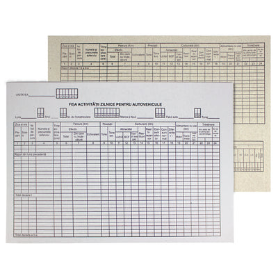 Fisa Activitati Zilnice