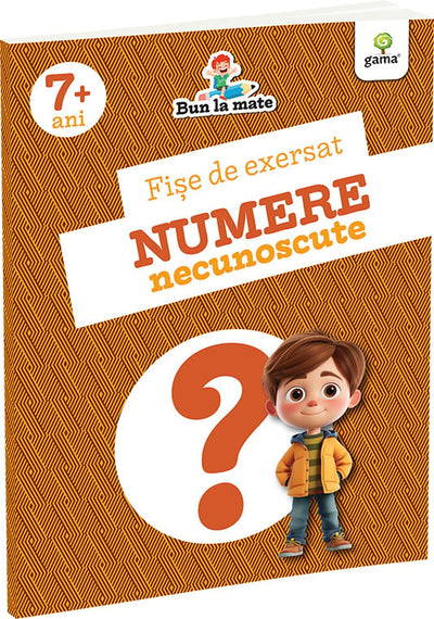 Fise de exersat NUMERE NECUNOSCUTE