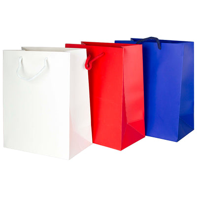 Punga Carton 210Gsm Plastifiat Mat 18*23*10 Cm - Rosu