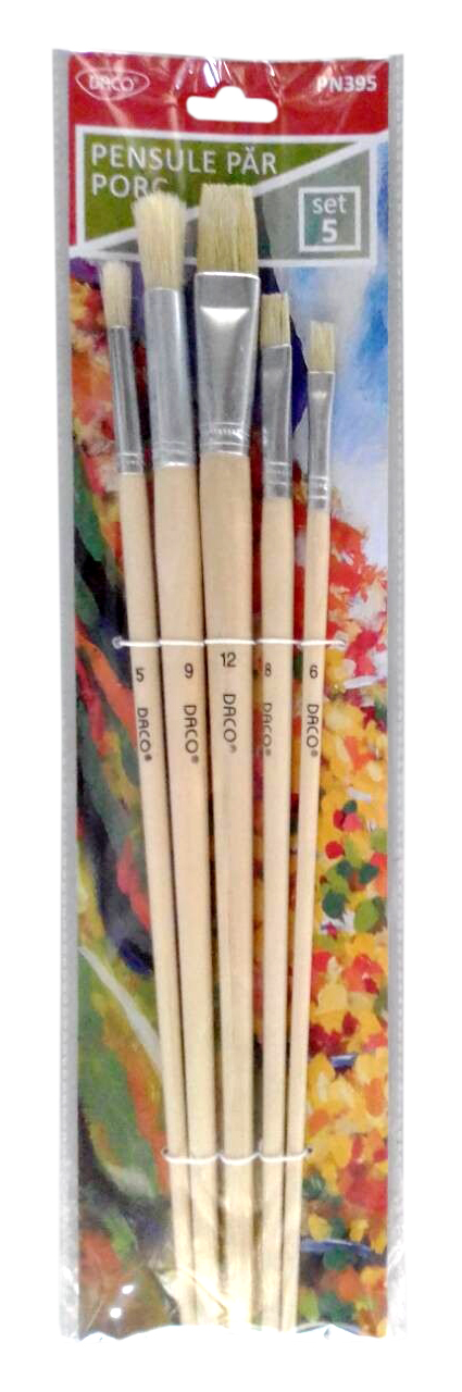 Set de 5 pensule cu păr de porc Daco PN395 pentru pictură în acrilic și ulei