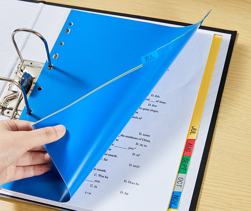 SEPARATOARE INDEX PLASTIC IAN-DEC DELI