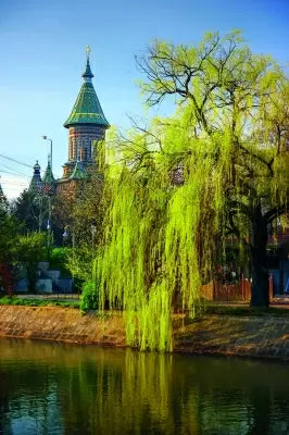 Calendar cu imagini diverse, 31.5 x 48 cm, 12 file, 2026