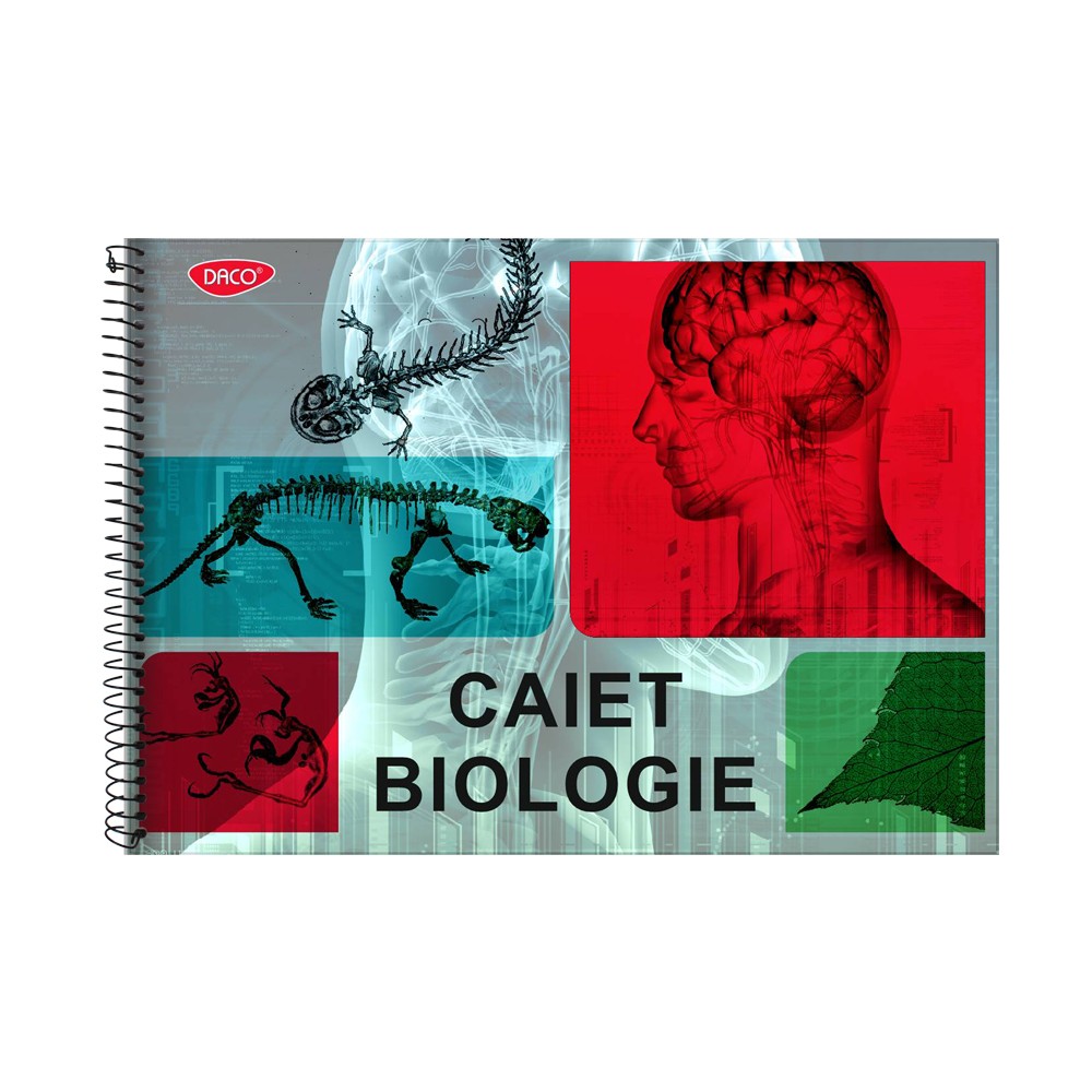 Caiet de biologie A4 cu spiră metalică de la DACO, conține 24 de file hibrid (liniate de 70g și pentru desen de 80g), ideal pentru elevi și studenți