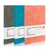 Notebook A5 96 file 80g dictando coperta piele DELI