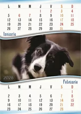Calendar perete, A3, pisici/catei 2026
