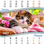Calendar perete, A3, pisici/catei 2027