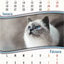 Calendar perete, A3, pisici/catei 2026