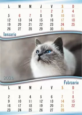 Calendar perete, A3, pisici/catei 2026
