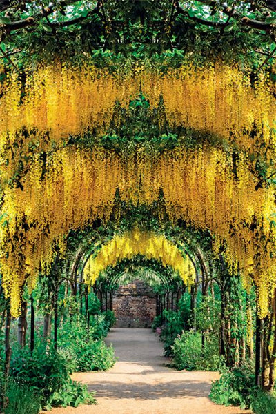 Calendar perete Gradini, 13 file EGO