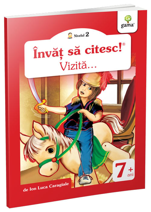 Vizita
