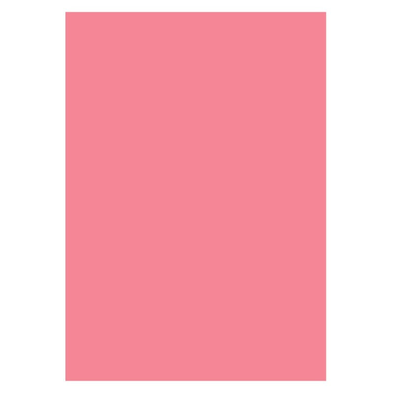 Coperti PVC indosariere translucide rosu 100/set ECADA