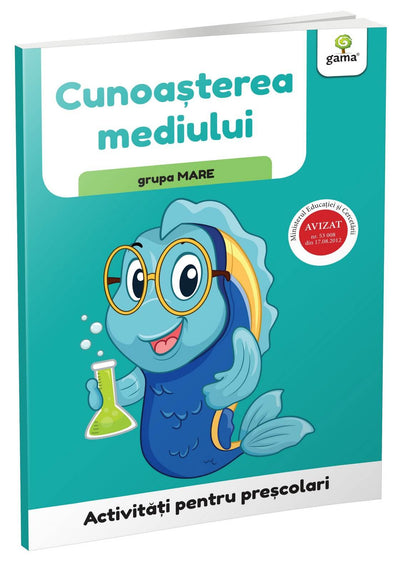 Cunoasterea mediului  grupa mare