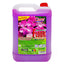 Detergent suprafete ceramice Cloret 5l