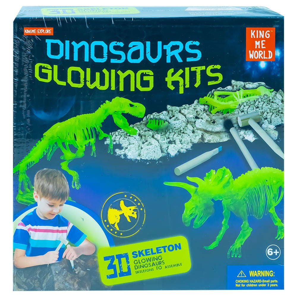 Set de paleontologie Descoperă Dinozauri Tiranozaur cu bloc de ipsos și unelte de excavare pentru copii
